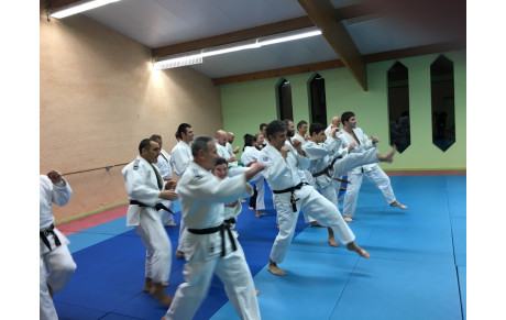 Jujitsu self-défense